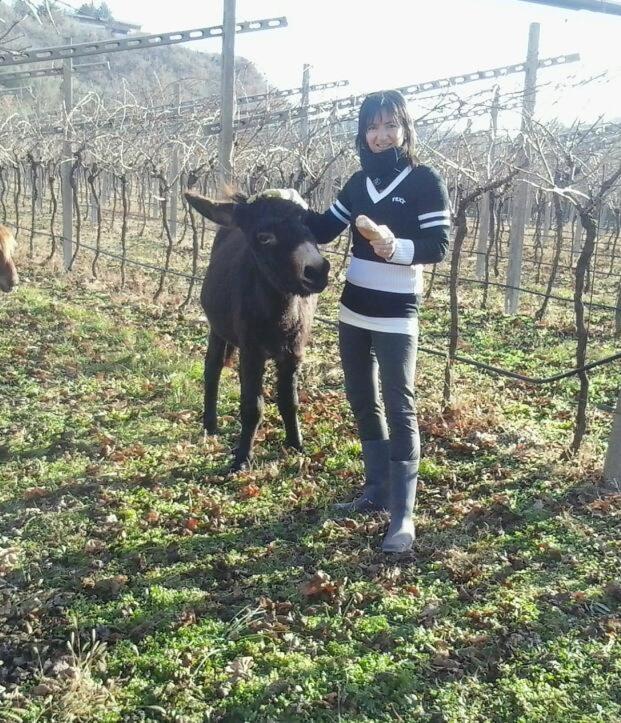 Séjour à la ferme La Casetta *